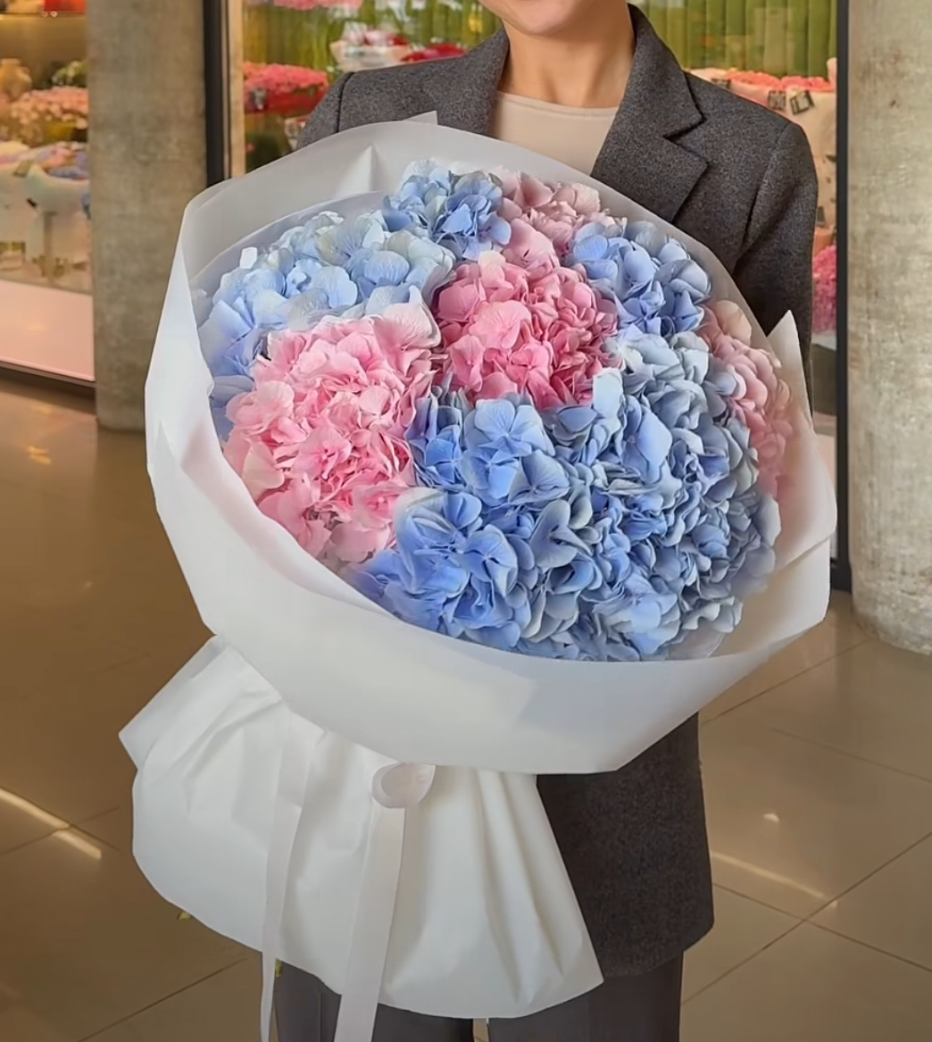 Mixed Color Hydrangeas